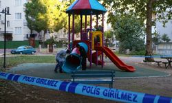 Park kavgasına 2 tutuklama