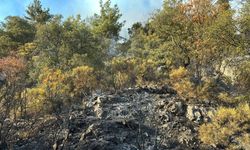 Kumluca'daki yangın 'kısmen' kontrol altına alındı