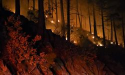 Gazipaşa'da 4 dekarlık ormanlık alan zarar gördü