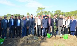 Fidanlar toprakla buluştu