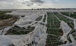 Hortumun verdiği zarar açıklandı