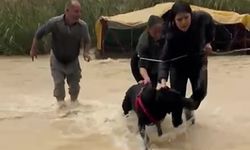 Manavgat'ta köpek kurtarma operasyonu