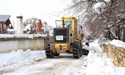 Antalya'da kar mesaisi