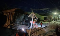 Rusya’da yolcu treni ile yük treni çarpıştı