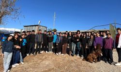 Sevimli dost projesi kabul edildi