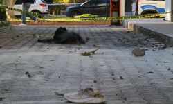 Pınar'dan kötü haber