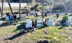 Yanan mezarlık yeniden ağaçlandırıldı