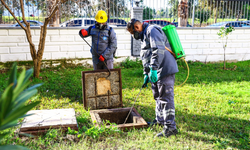 Kışın da vektörle  mücadele sürüyor