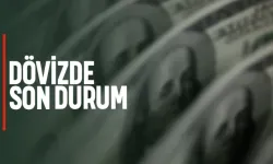 Dövizde son durum