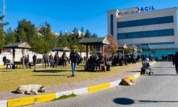 Köpek saldırısına uğrayan çocuk yaralandı