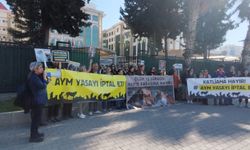 Antalya Adliyesi önünde hayvanlar için haykırış