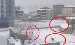 Aynı yerde bir sokak köpeği saldırısı daha