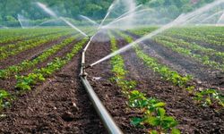 Serik'te sulama sorunu çiftçiyi vurdu