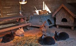 Doğal Yaşam Parkı'nda soğuk hava önlemi