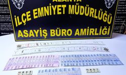 Alanya'da kumar baskını