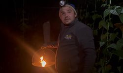 Gazipaşa'da zirai don nöbeti