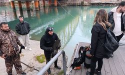 42 bin liralık telefon için seferber oldular