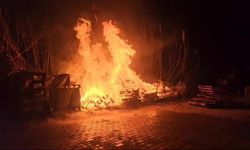 Elektrik telleri yangın çıkardı