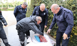Antalya'da 1,5 ton ciğere el koyuldu