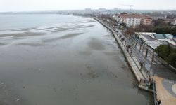 Deniz 150 metre çekildi