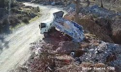 Fotokapana yakalandılar