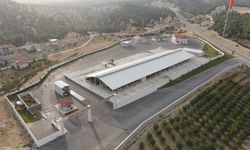 Akdeniz'in en büyüğü Korkuteli'de