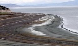 '2 Marmara Denizi büyüklüğünde alan kaybedildi'