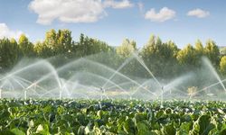 ‘Peşin ücret çiftçiyi zora sokar’