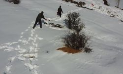 Yaban hayvanları unutulmuyor