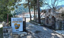 'Bal Arısı Petek Evi' açılıyor
