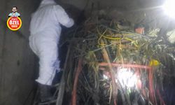 Kanalizasyondan çıkanlar şoke etti