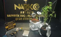 Emniyetten uyuşturucu operasyonu
