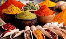 Antalya sıcağında böceklenmesin!