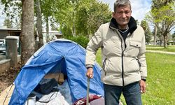 Parkta yaşamını sürdürüyor