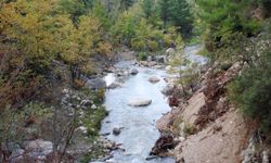 Maden ocağı için izin çıkmadı