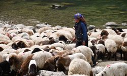 Bir çocuğun sessiz çığlığı