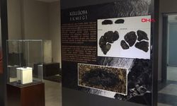 5 bin yıllık ekmek bulundu
