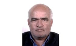 Kesik kulak olayında katil fareler çıktı