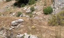 Antalya'da insanlık ölmemiş dedirten görüntüler