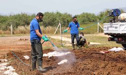 Büyükşehir kurban satış noktalarını ilaçlıyor