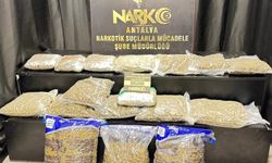 Antalya'da 21 kg skunk ele geçirildi