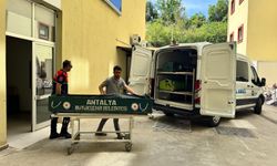 Gazipaşa'da depoda ölü bulundu