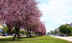 Antalya'da görsel şölen