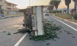 Gazipaşa'da salatalık yüklü kamyonet devrildi