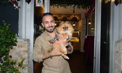 Güzellik yarışmasında birinci seçilen köpek bir hafta sonra ortadan kayboldu