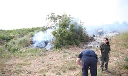 Alanya'da makilik alanda yangın