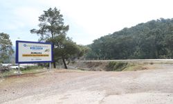 Narenciye balı için coğrafi işaret çalışması