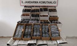 Gazipaşa'da 3 bin adet kaçak gözlük ele geçirildi