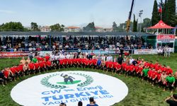 Manavgat'ta güreş  coşkusu sürüyor