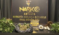 17 zehir taciri tutuklandı